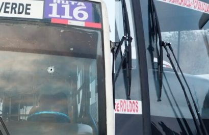 Buses