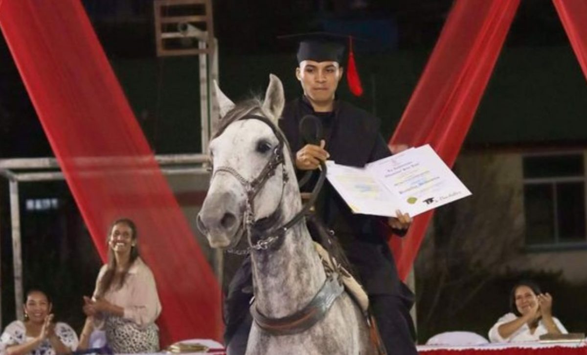 CAballo-tormento
