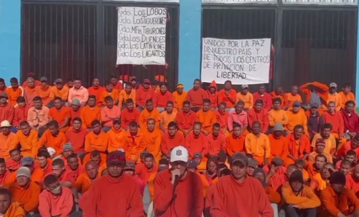 Detenidos-2