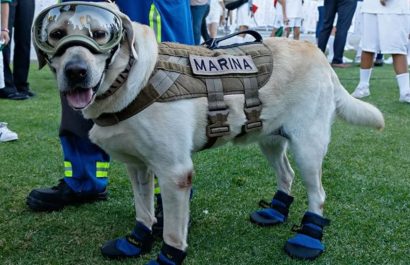 Frida-perrita-que-trabajo-en-rescate-en-el-terremoto-de-Ecuador