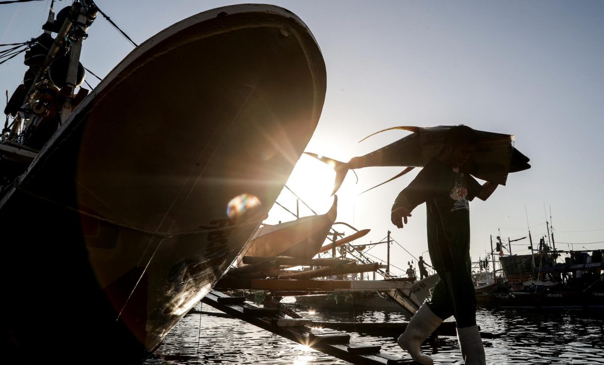 Doble acción judicial de Bloom contra Francia por la pesca de atún en África