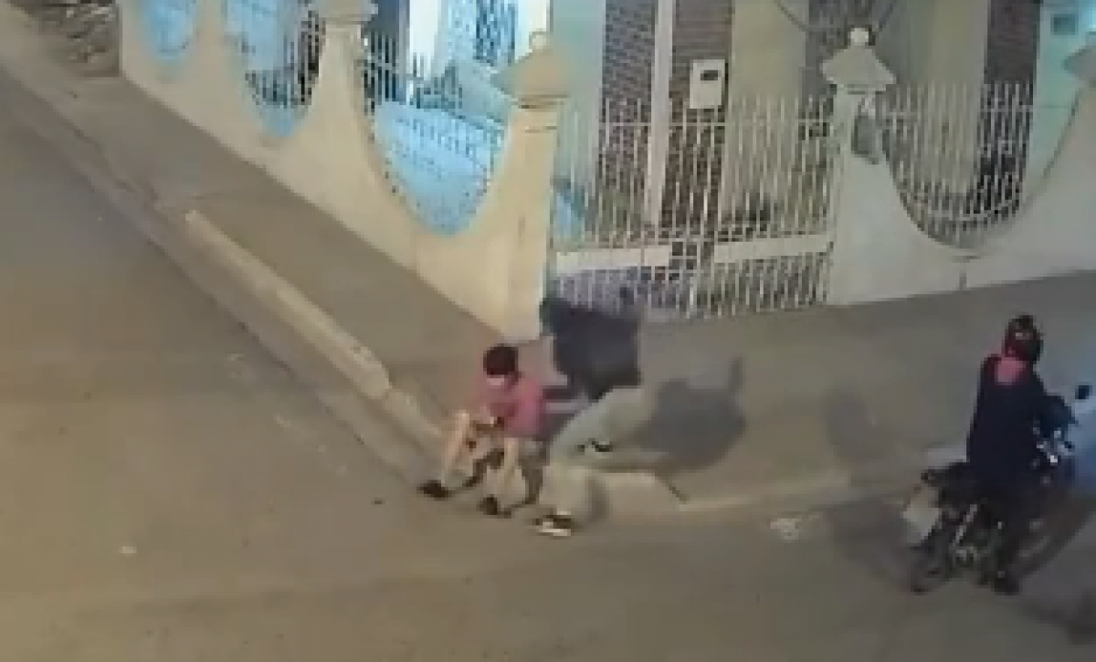 asdasdasas