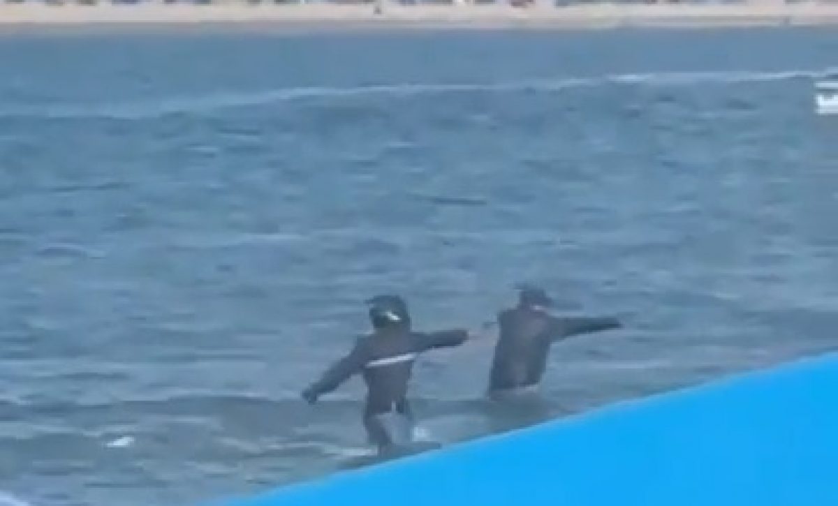 asesinato-mar