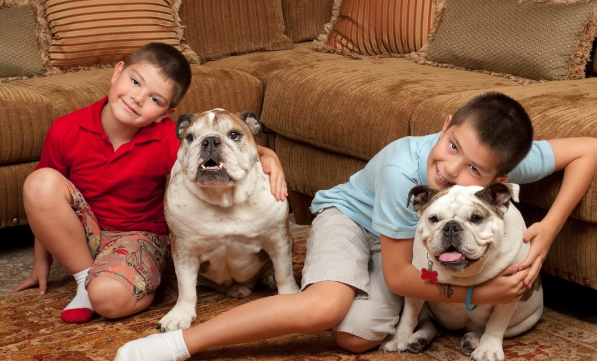 asi-debe-ser-la-relacion-entre-un-nino-y-un-perro