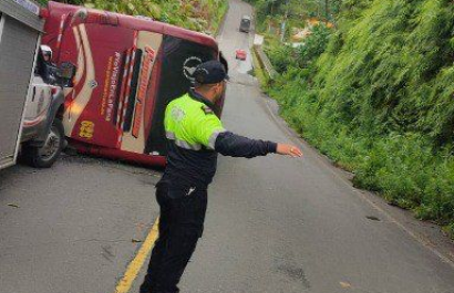 bus