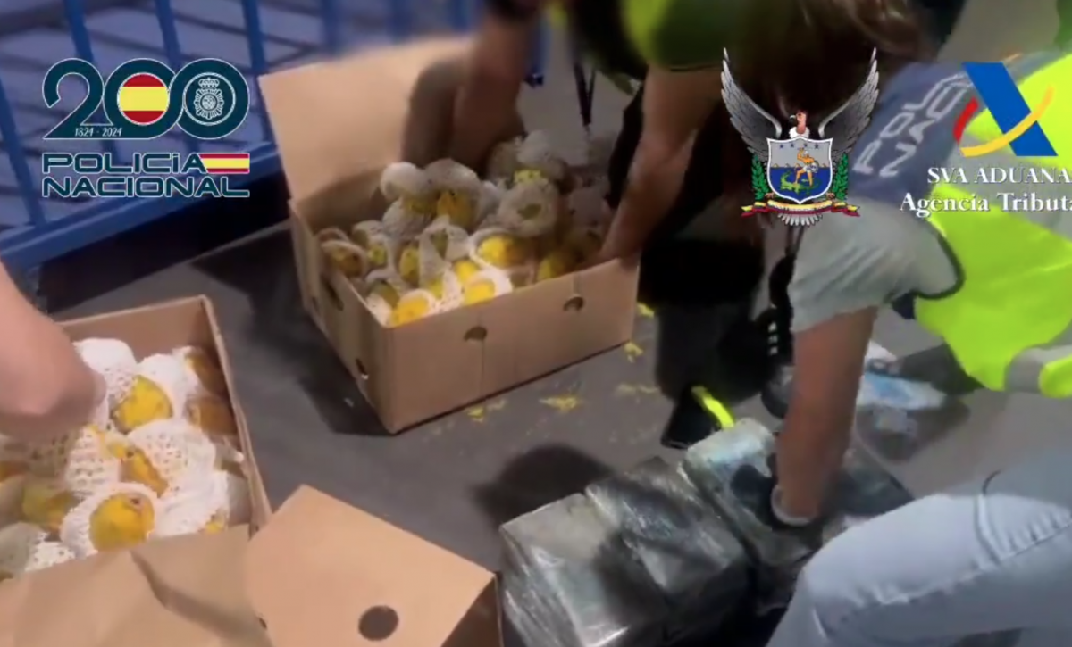 cocaina-de-ecuador-camuflada-en-pitahaya-es-decomisada-en-espana