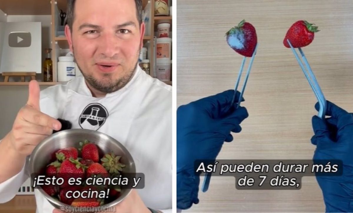 Cómo evitar el moho en las fresas: el truco con agua caliente que elimina hongos y alarga su frescura una semana