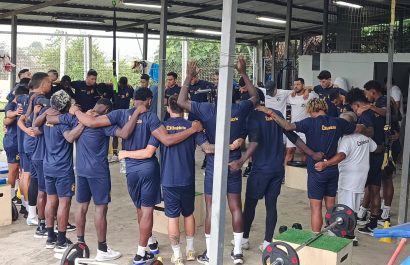 delfin-entrenamiento