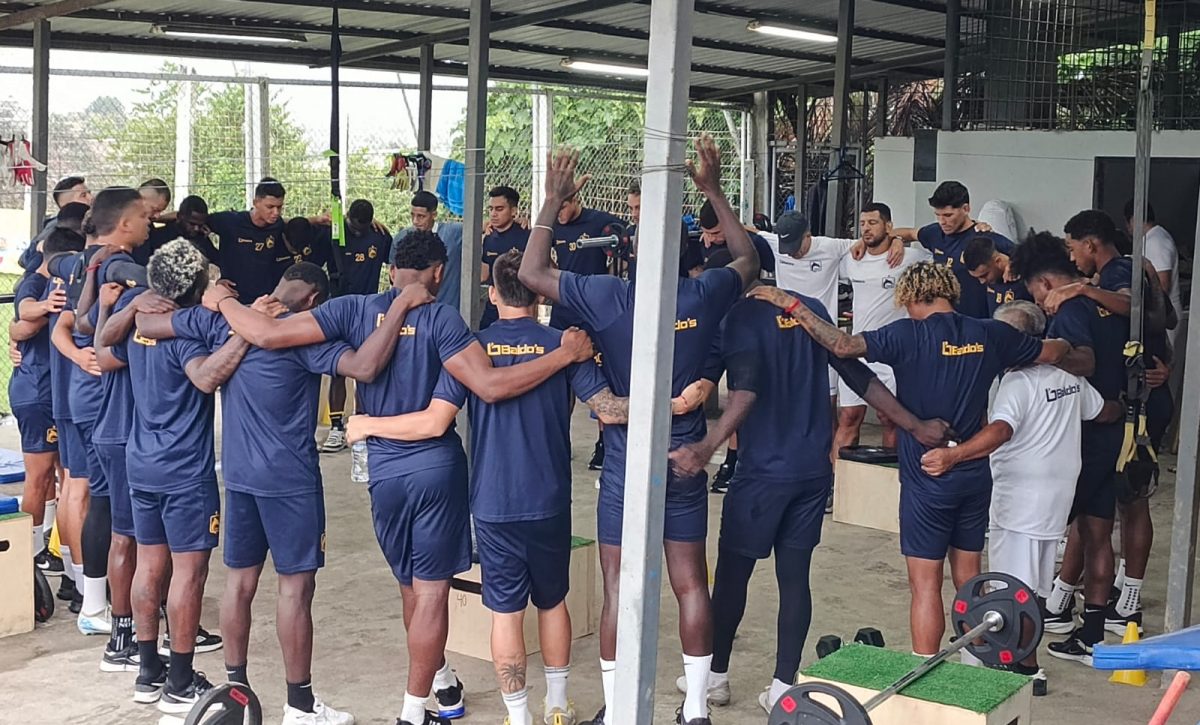 delfin-entrenamiento