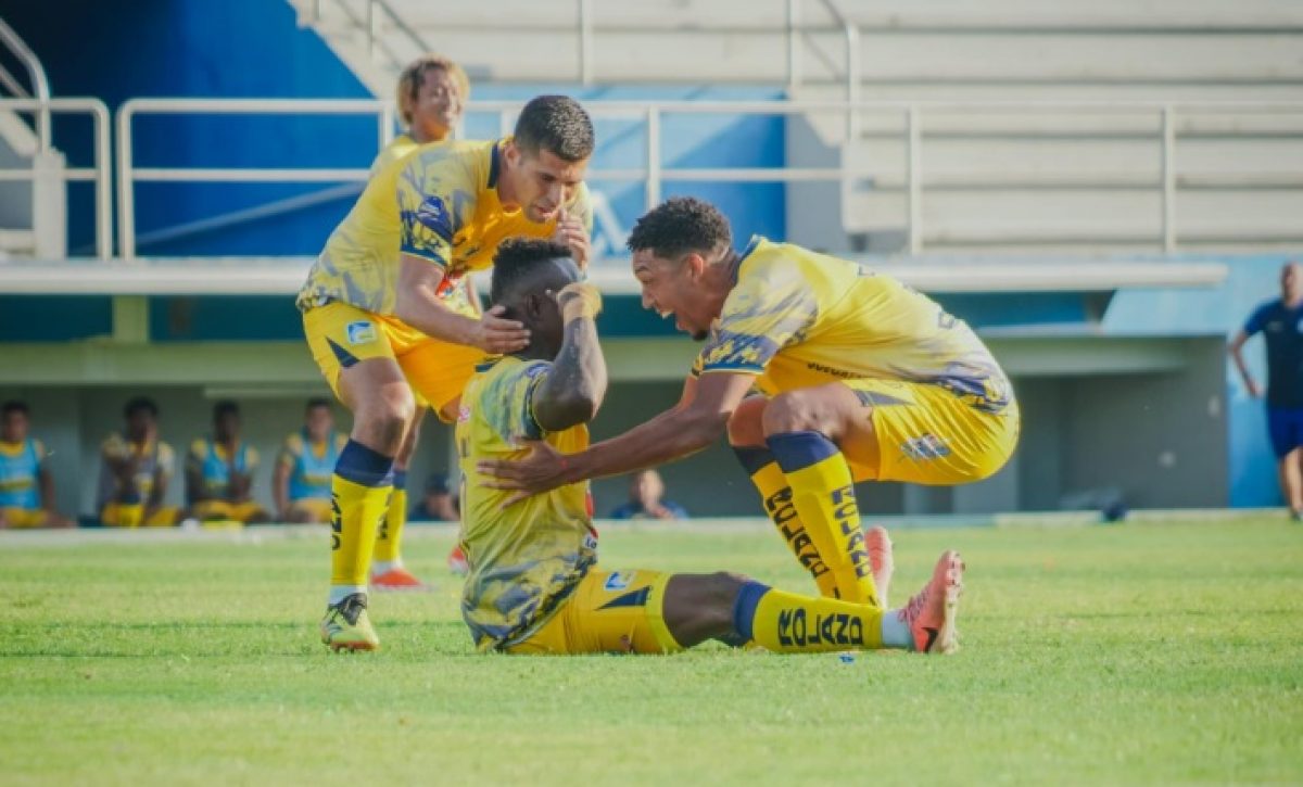 delfin-invicto