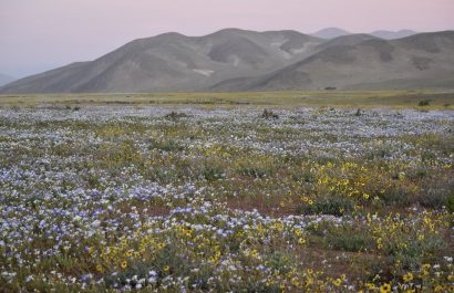 desierto-de-atacama