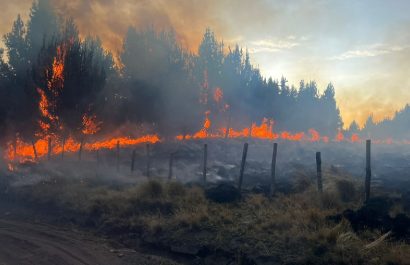 durante-el-lapso-de-24-horas-un-incendio-forestal-destruyo-algo-mas-de-100-hectareas-de-bosques-en-la-provincia-de-cotopaxi