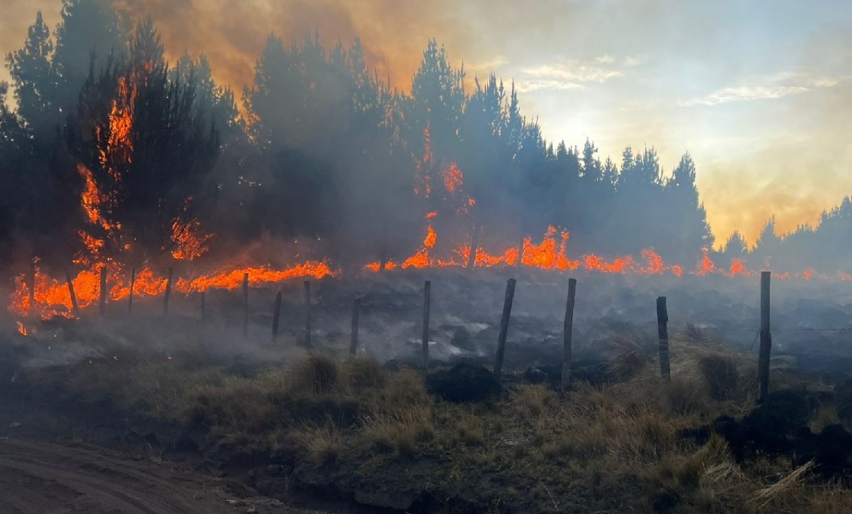durante-el-lapso-de-24-horas-un-incendio-forestal-destruyo-algo-mas-de-100-hectareas-de-bosques-en-la-provincia-de-cotopaxi