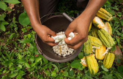 ecuador-las-frutas-y-hortalizas-representan-el-33-por-ciento-de-exportaciones-no-petroleras