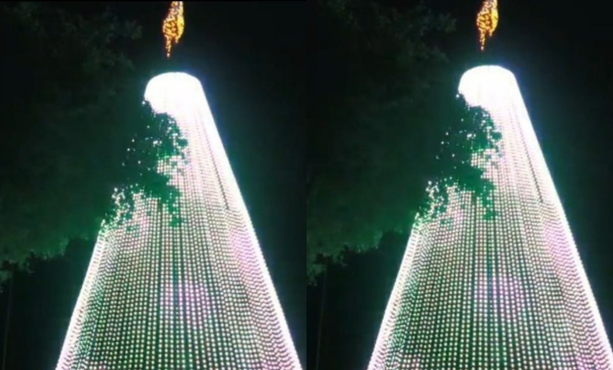 el-arbol-de-navidad-de-el-diario-se-encendio-este-lunes-2-de-diciembre-1