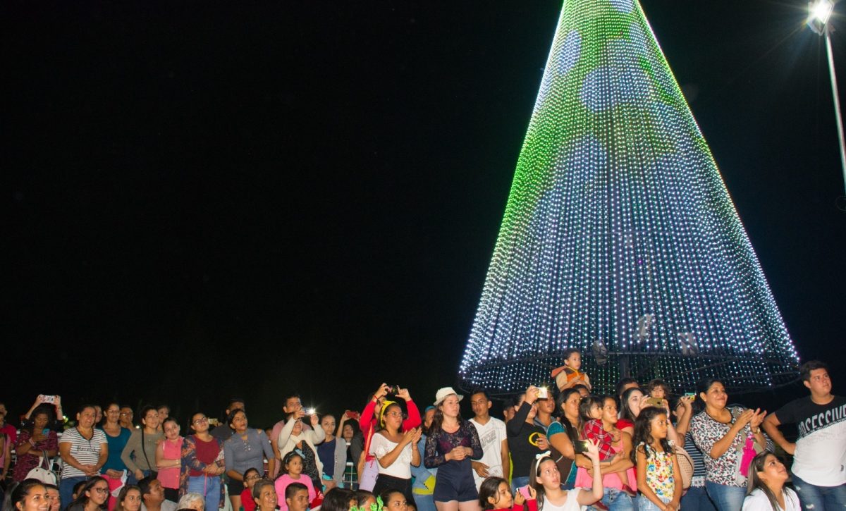 el-diario-enciende-su-arbol-de-navidad