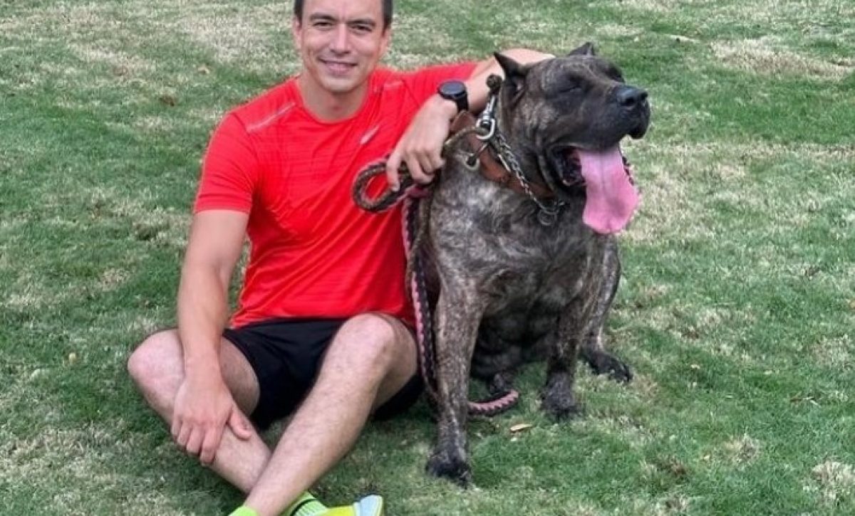 el-presidente-daniel-noboa-anuncio-que-desde-el-1-de-febrero-los-alimentos-para-mascotas-no-pagaran-impuesto-al-valor-agregado-iva-en-ecuador