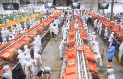 el-salario-basico-unificado-sera-de-470-dolares-en-el-2025