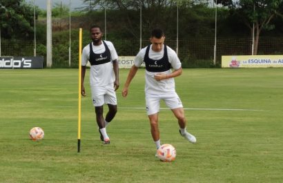 entrenamiento-de-delfin