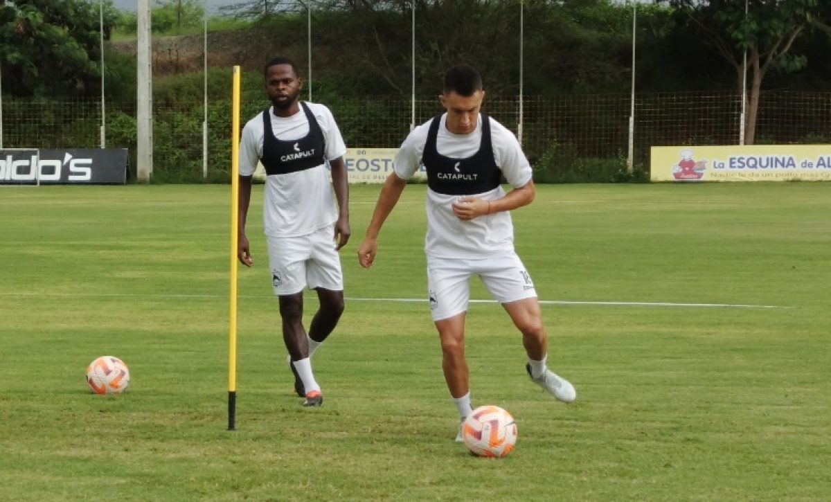entrenamiento-de-delfin