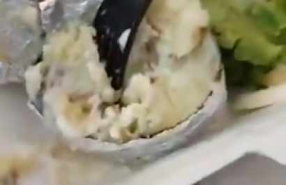 gusano