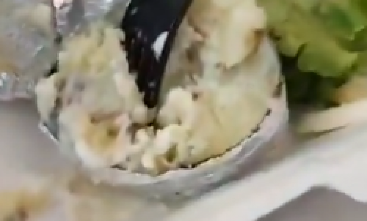 gusano