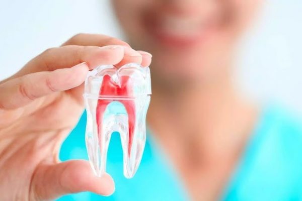 Pulpa Dental, una nueva fuente de células madre para tratar enfermedades neuronales