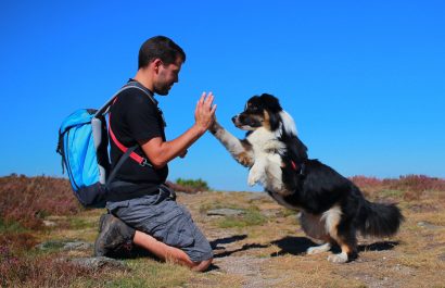 Man and dog