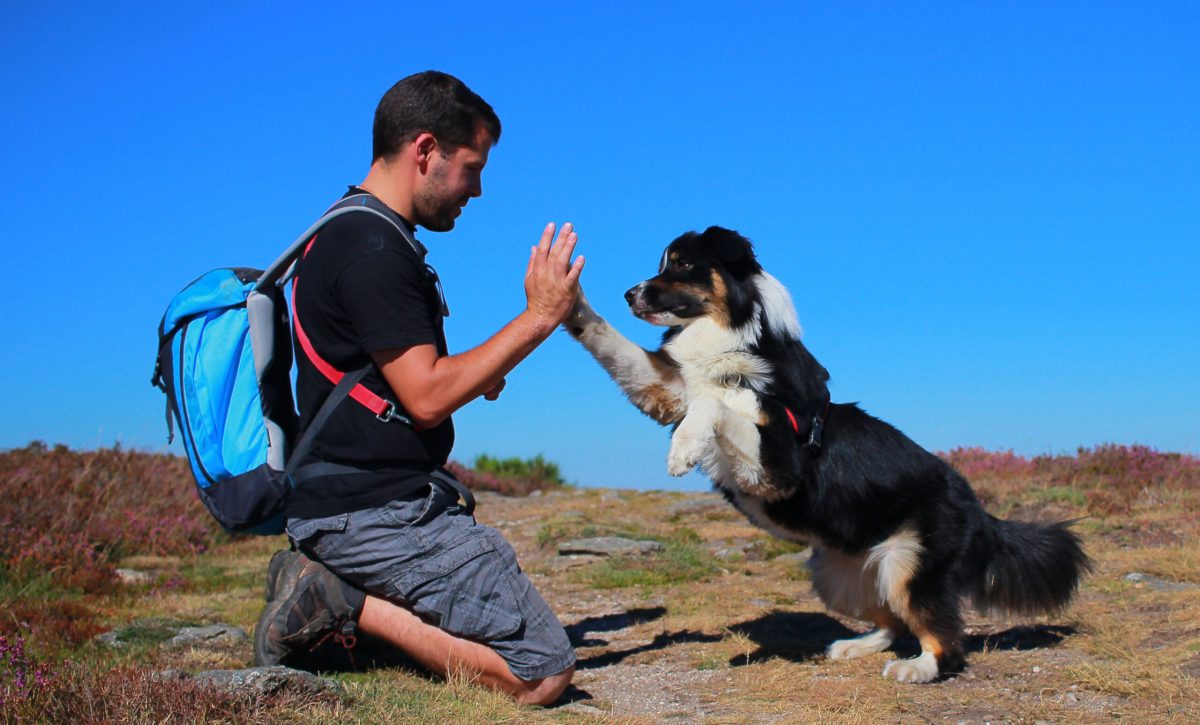 Man and dog