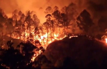 incendio-forestal-arrasa-con-hectareas-de-bosques-en-quilanga-loja