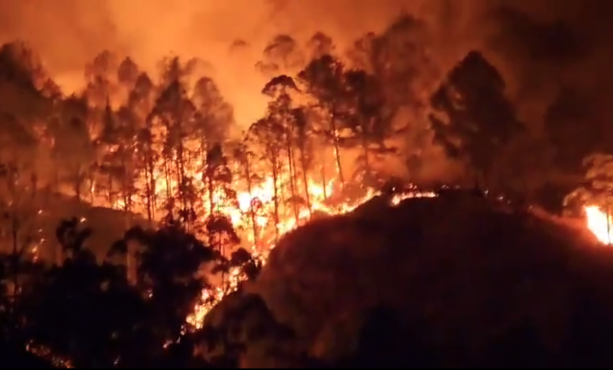 incendio-forestal-arrasa-con-hectareas-de-bosques-en-quilanga-loja