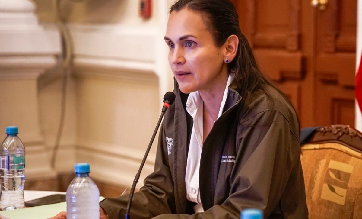 ines-manzano-vuelve-a-liderar-el-comite-de-operaciones-de-emergencia-coe-nacional-2