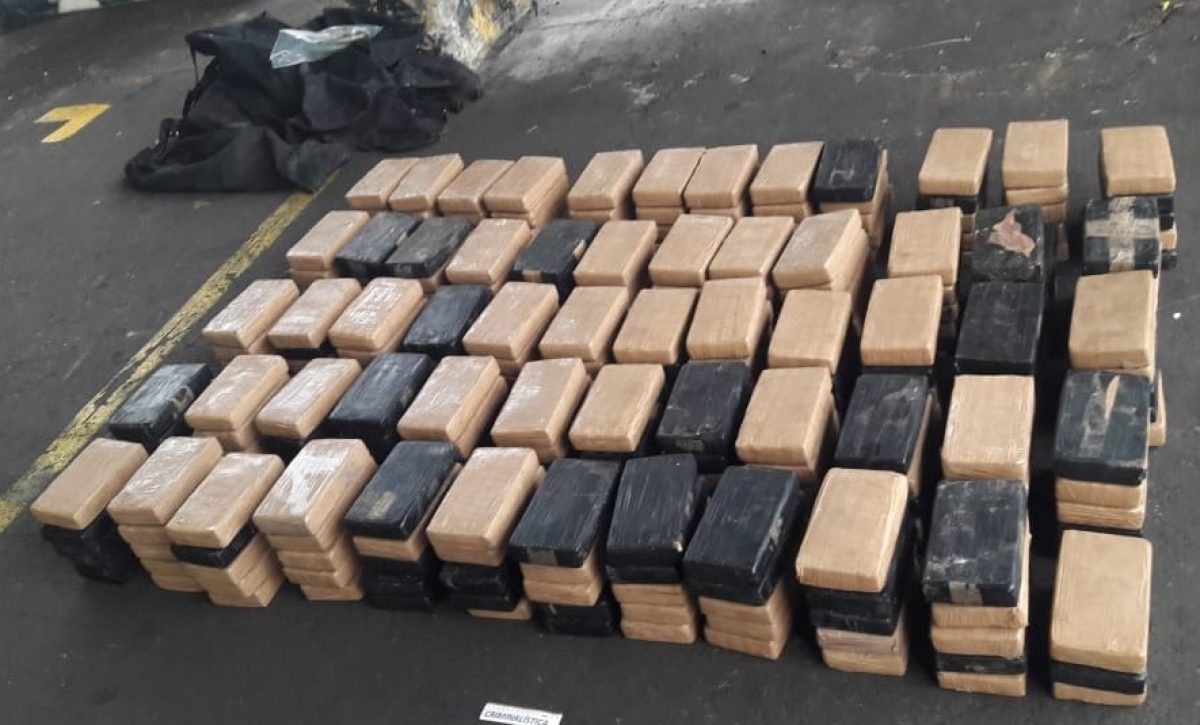 la-policia-decomiso-mas-de-una-tonelada-de-droga-en-el-oro-en-un-operativo-que-evito-la-distribucion-de-11-millones-de-dosis