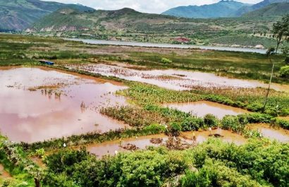 las-intensas-lluvias-han-provocado-perdidas-millonarias-en-el-sector-agricola-afectando-principalmente-a-los-cultivos-de-arroz-y-maiz