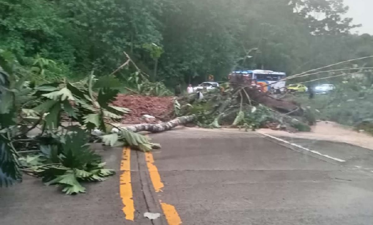 las-lluvias-en-manabi-han-generado-varios-deslizamientos-de-tierra-bloqueando-temporalmente-la-via-flavio-alfaro-el-carmen