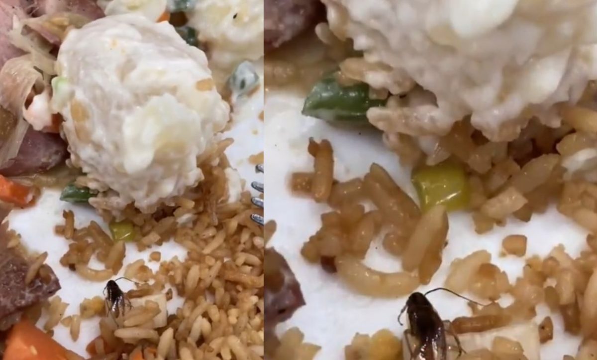 le-salio-una-cucaracha-en-un-platillo-que-pidio-en-un-centro-comercial-1