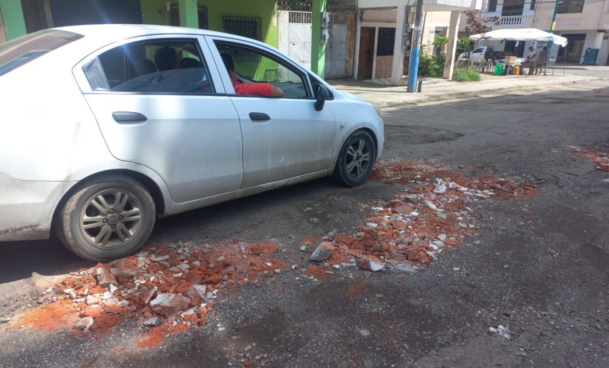 local-1-baches