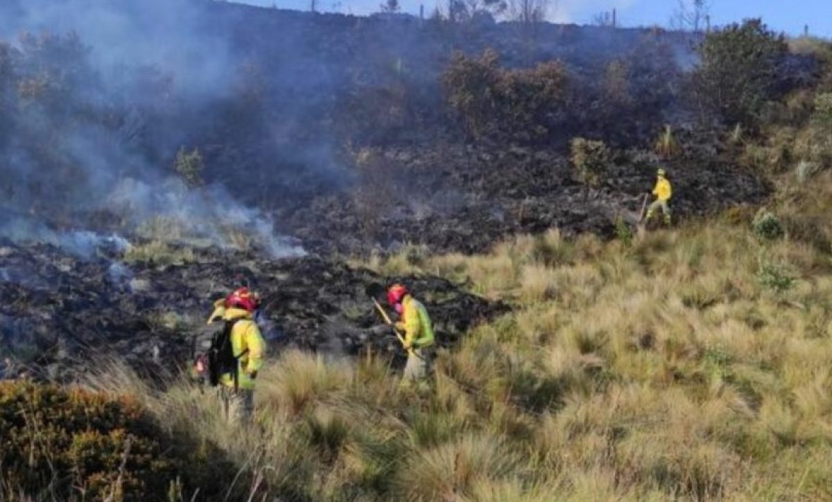 los-incendios-forestales-y-la-sequia-que-afectan-a-varias-provincias-del-pais-estan-poniendo-en-jaque-a-las-autoridades-de-gobierno