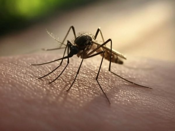 manabi-es-la-segunda-provincia-en-la-region-costa-de-ecuador-con-mas-casos-de-dengue-segun-el-ministerio-de-salud-publica-msp