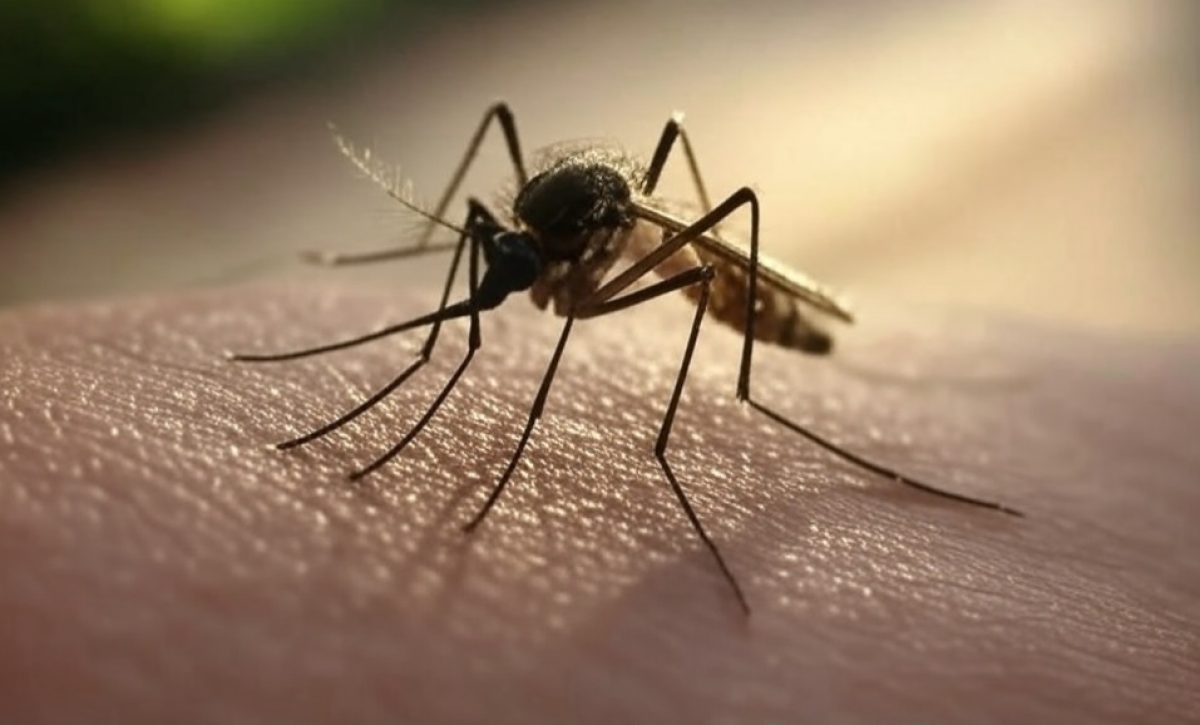 manabi-es-la-segunda-provincia-en-la-region-costa-de-ecuador-con-mas-casos-de-dengue-segun-el-ministerio-de-salud-publica-msp