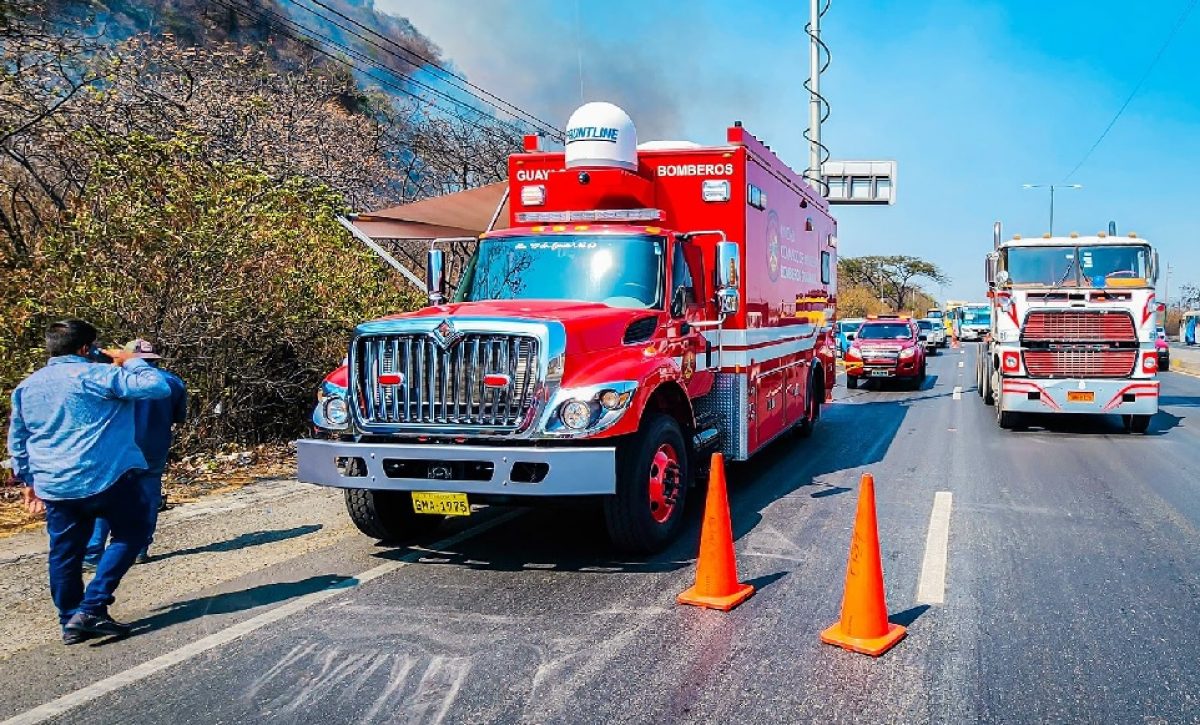 mas-de-80-hectareas-de-bosque-se-han-visto-afectadas-en-cerro-azul-una-de-las-zonas-protegidas-de-guayaquil