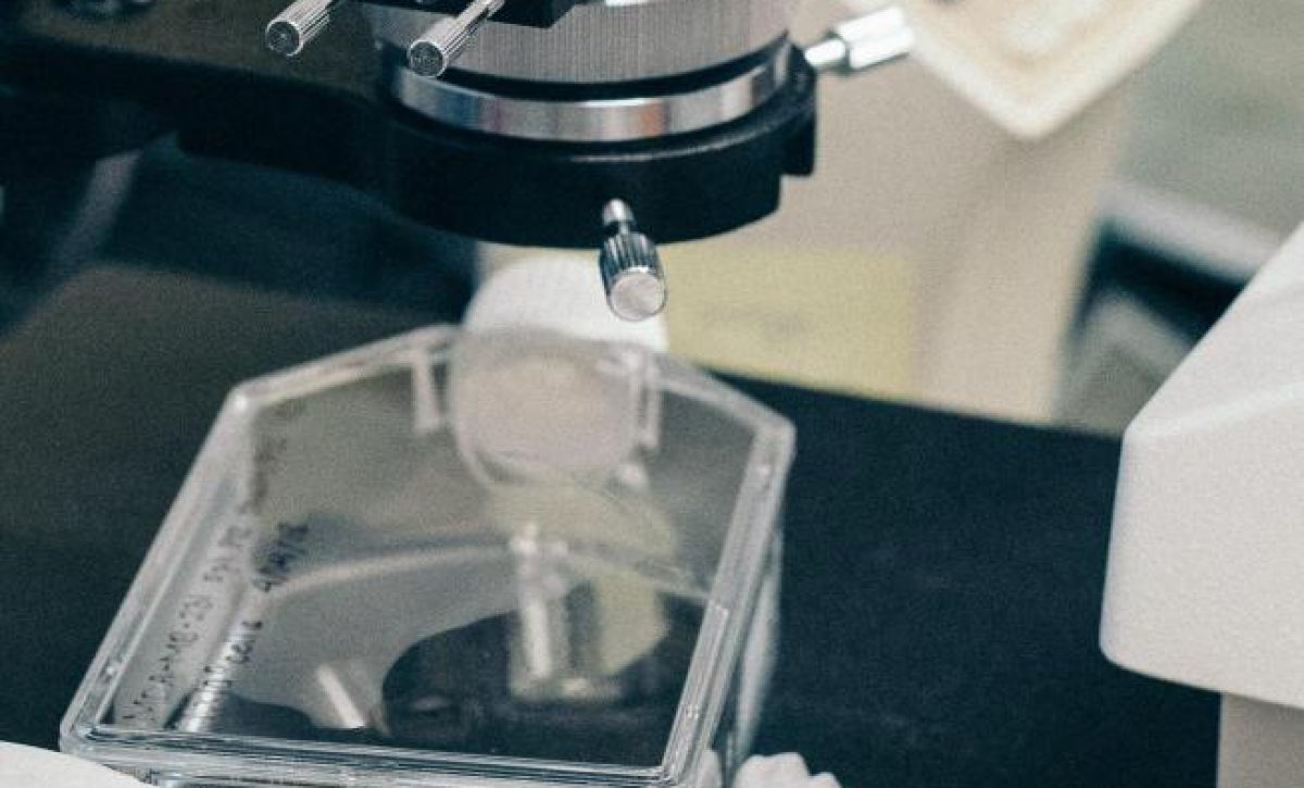 microscopio-en-una-imagen-de-archivo.r_d.1496-2347-3496