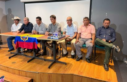 movimiento-raiz2-1