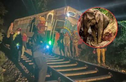 mundo-tren-arrolla-a-manada-de-elefantes-en-sri-lanka-y-deja-seis-de-ellos-muertos-1