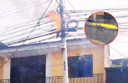 paloma-causo-cortocircuito-e-incendio-de-cables-en-portoviejo