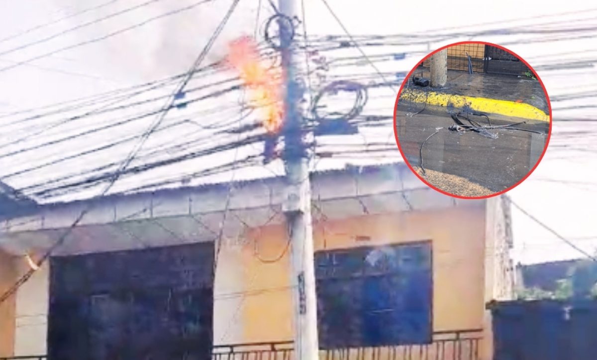 paloma-causo-cortocircuito-e-incendio-de-cables-en-portoviejo