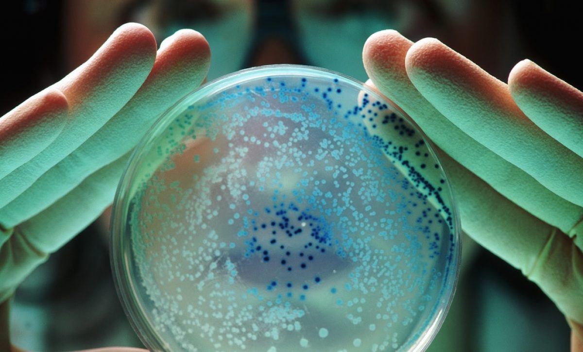 pandemia