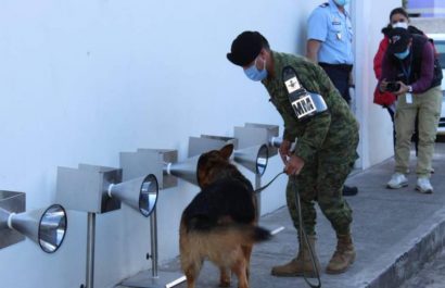 perro-covid-03-07-2021_72964_20210703090059
