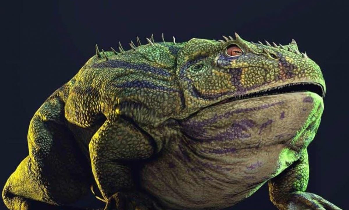 rana-prehistorica-ilustrativa-focus-0-0-954-636