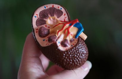 salud-claves-para-prevenir-la-enfermedad-renal-cronica-y-detectarla-a-tiempo
